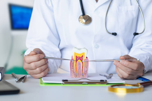 Best Emergency Dentist for Lost Fillings or Crowns in Powder Springs, GA